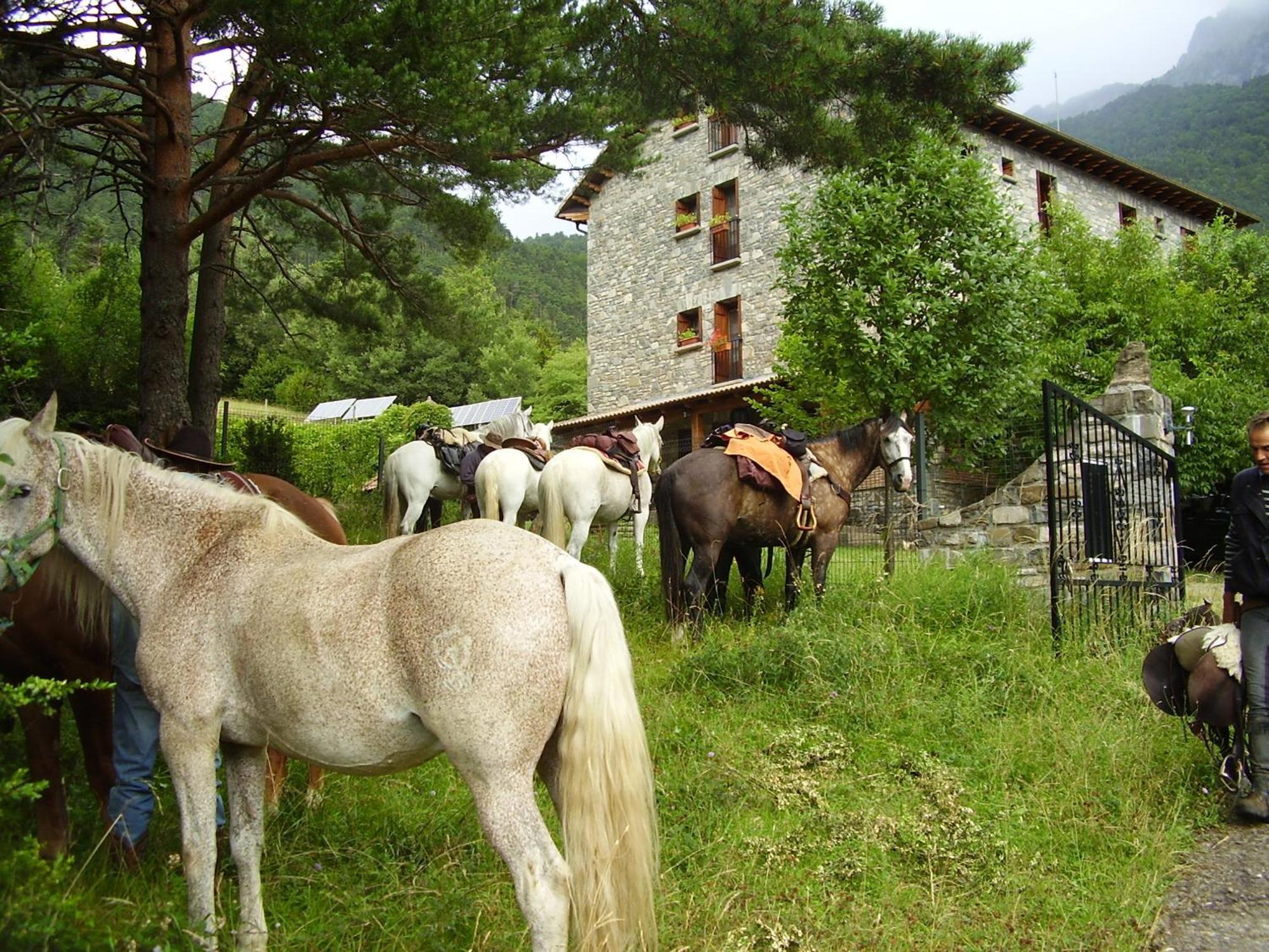 Hotel De Montana Uson Hecho Dış mekan fotoğraf